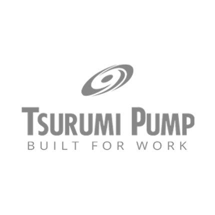 Tsurumi Swing Check Valve LSC-4